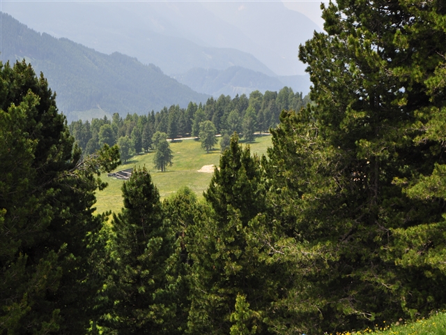 Tornando dal corno bianco, sotto di noi, si mostra una verdeggiante vallata tutta piena di pini.